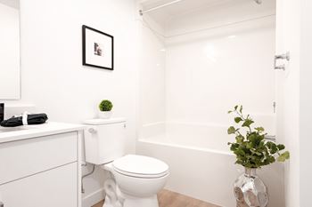 Standard tub & shower